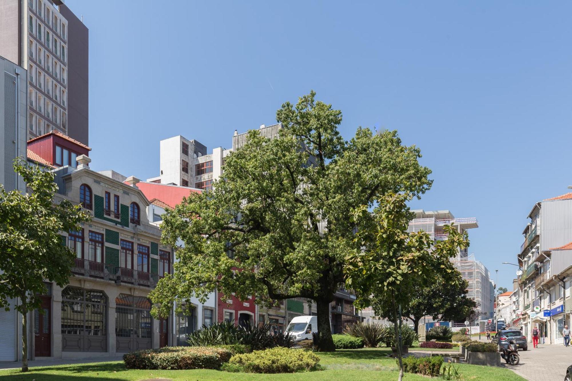 Qp Apartments Trindade بورتو المظهر الخارجي الصورة